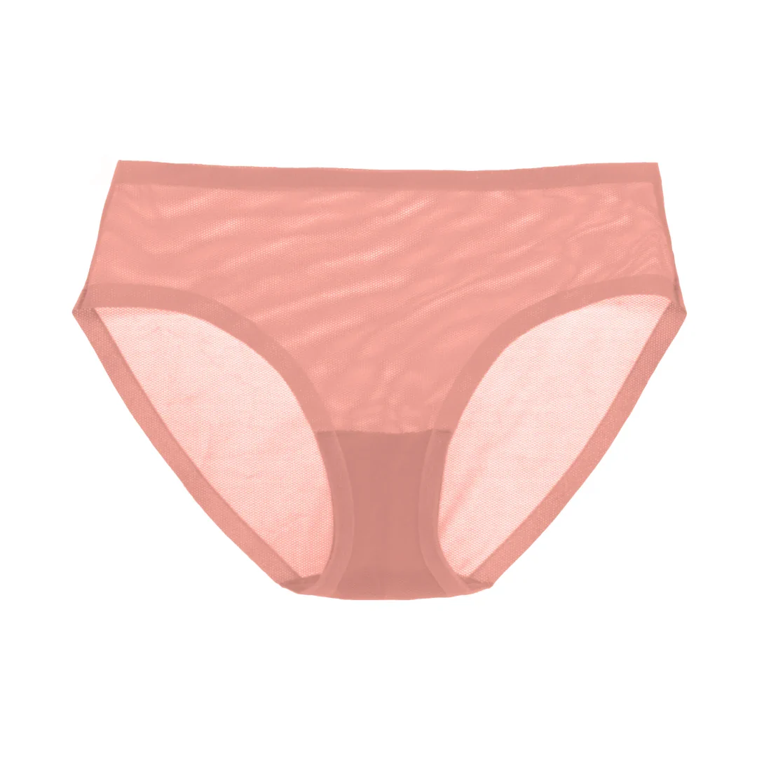 Dusty Rose Sheer Brief - Image 6