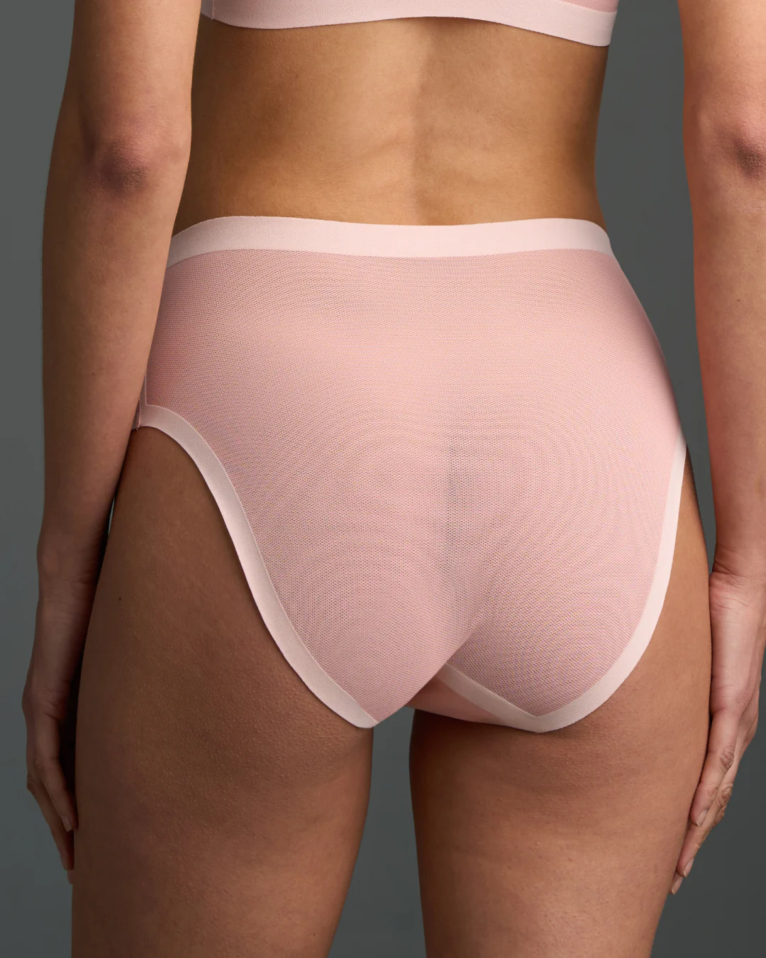 Murex Shell Sheer High Cut v2 - Image 3